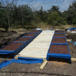 Tulkarm-project-pic21